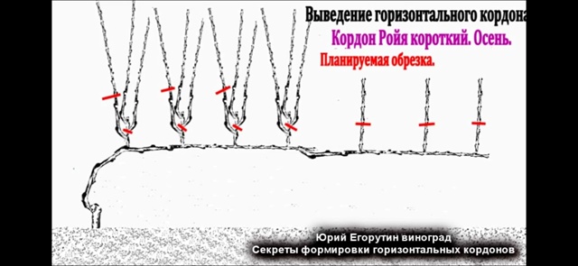 Переславль!
Доброго всем дня!
Хочу просить совета с фор...