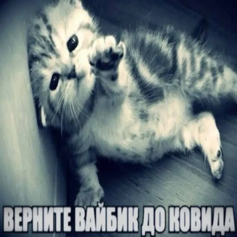 Утренняя подборочка