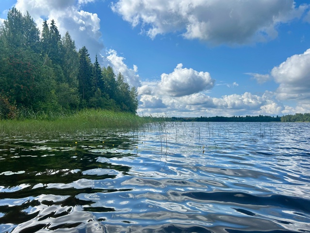 Вода в озерах Окуловки , как парное молоко! Ловите летн?...