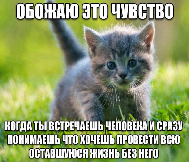 Утренняя подборочка