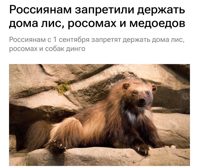 С 1 сентября россиянам запретят держать дома тюленей, м...