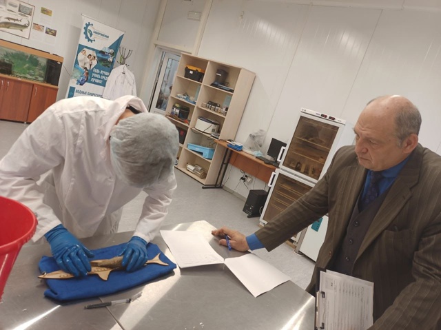 Рыбный десант. ? Наши на 