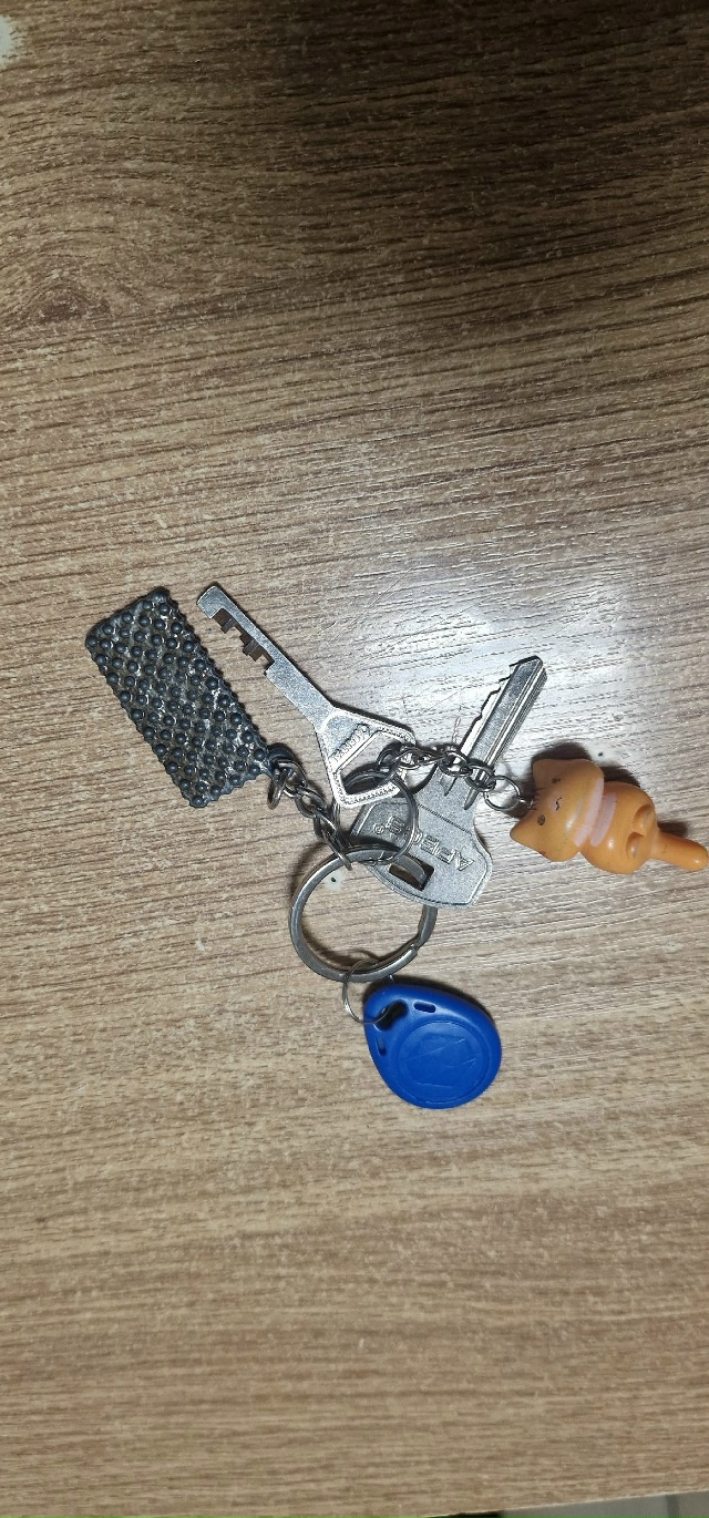 1.11.2025 года были найдены ключи по адресу г. Тула, ул. Демо...