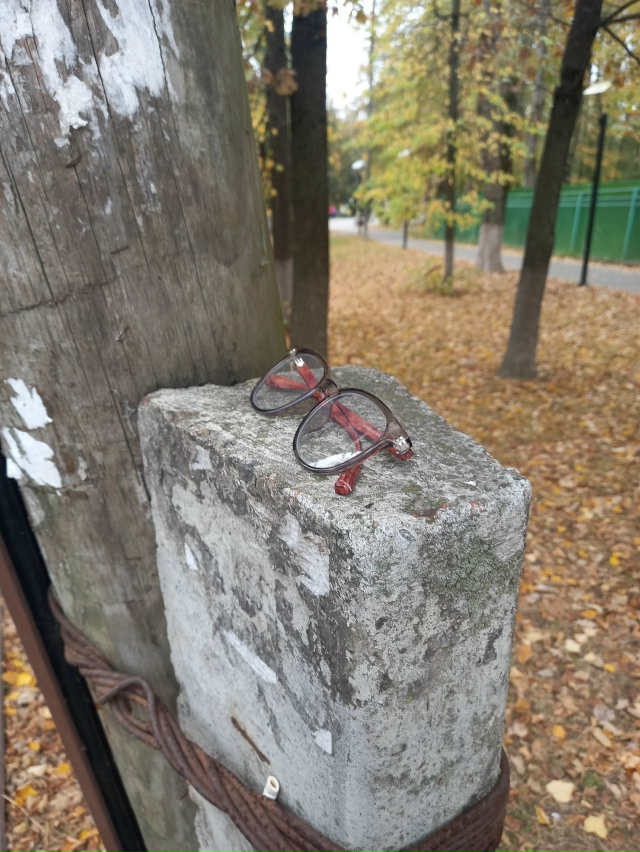 Потеряли на тротуаре 26.09,положила на столб(возможно шк?...