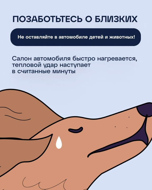 ☀❗ Автомобилисты, не забывайте, что в жару вам нужно б?...