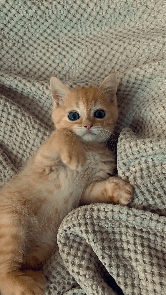 Сделай меня счастливым, и я сделаю счастливым тебя — в?...