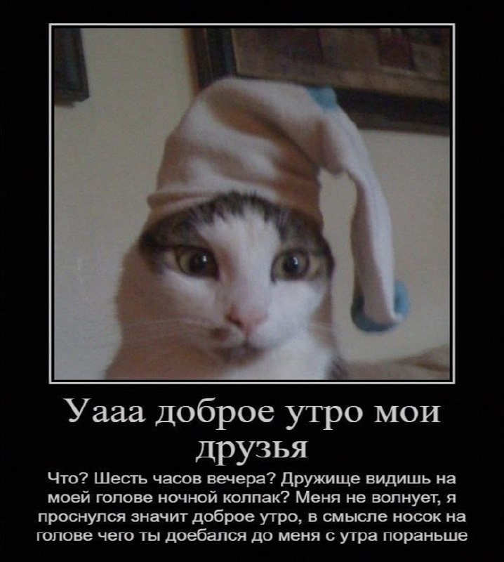 Ночная подборочка
Спать, режим