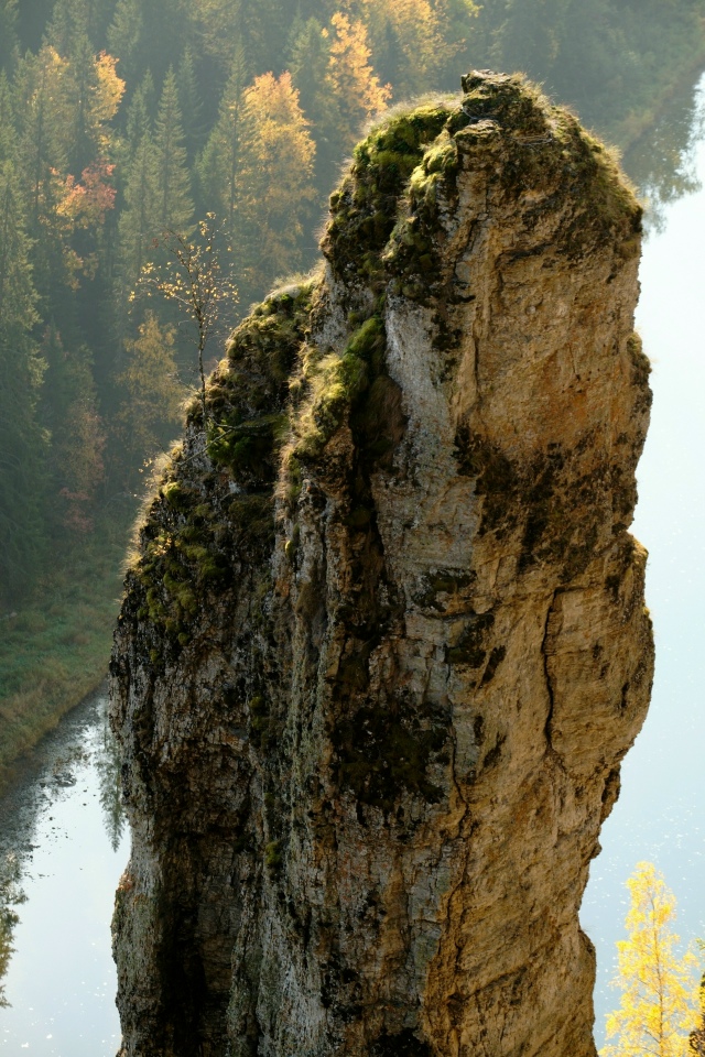 ? Золотая осень в Пермском крае
Фото: Ян Савицкий