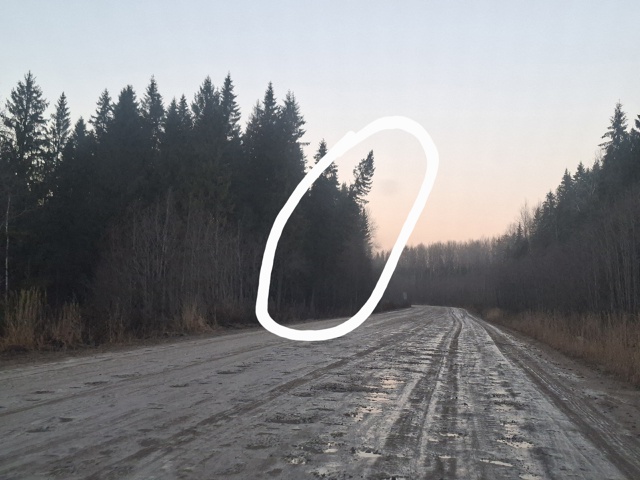 Ждут когда сама упадет? Перегородит всю дорогу. На ней ...