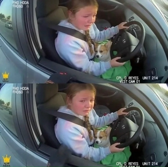 12-летняя девочка была остановлена полицией, когда пыта...