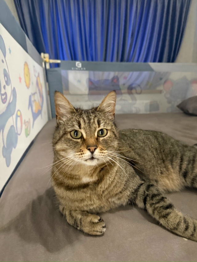 Кеша дома, всем причастным огромная благодарность!
Зл?...