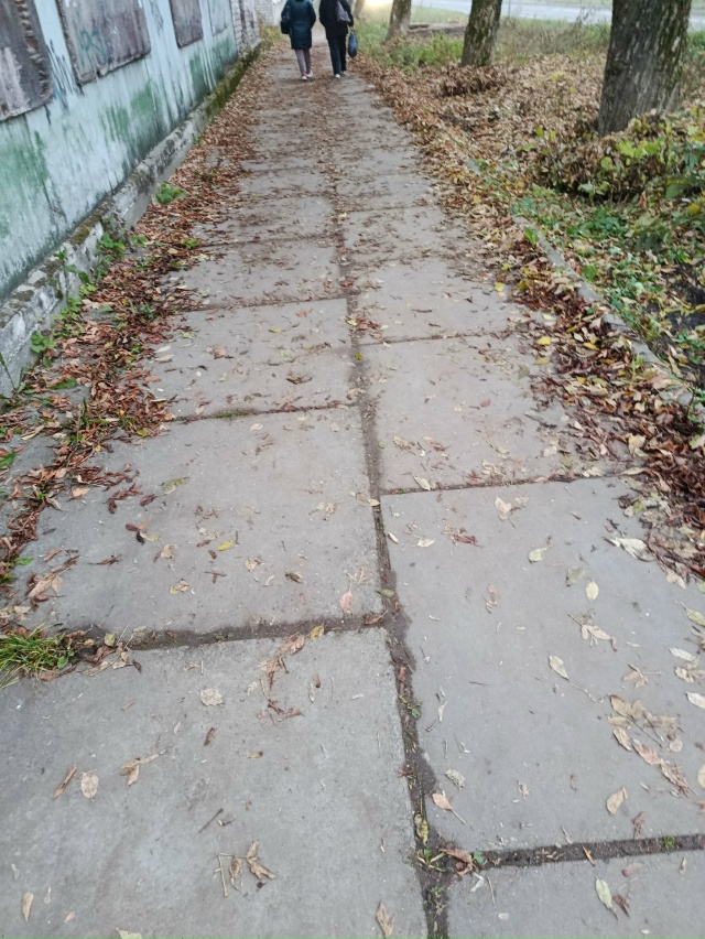 Добрый день. Когда будут выметать тротуары, хотя бы по ?...