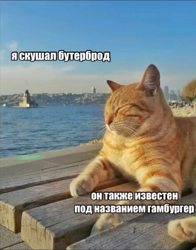 Утренняя подборочка