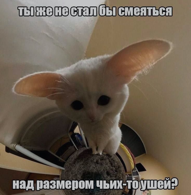 Ночная подборочка
Спать, режим