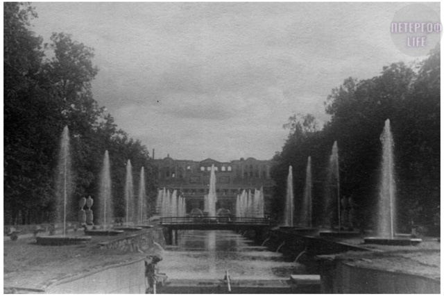 1949 год Петродворец