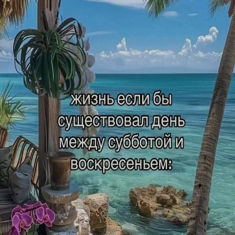 Ночная подборочка
Выходные, не спим