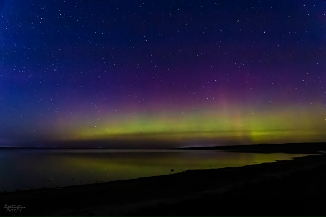 Северное сияние на Рыбинском водохранилище ❤️
12.11.2025...