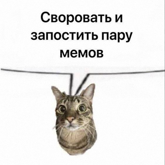 Утренняя подборочка