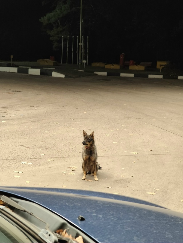 Здравствуйте. Анонимно, пожалуйста.
15.10 вечером была за...