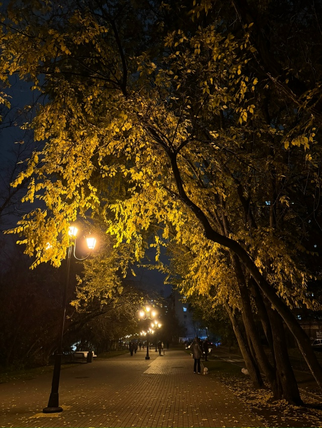 Спокойной ночи, Балашиха🖤