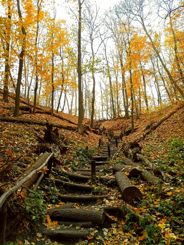 Осенний Воронеж, локация пос.Рыбачий🍁🍂