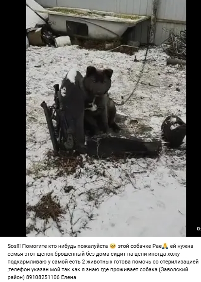 Пост добра. Распространите, пожалуйста.