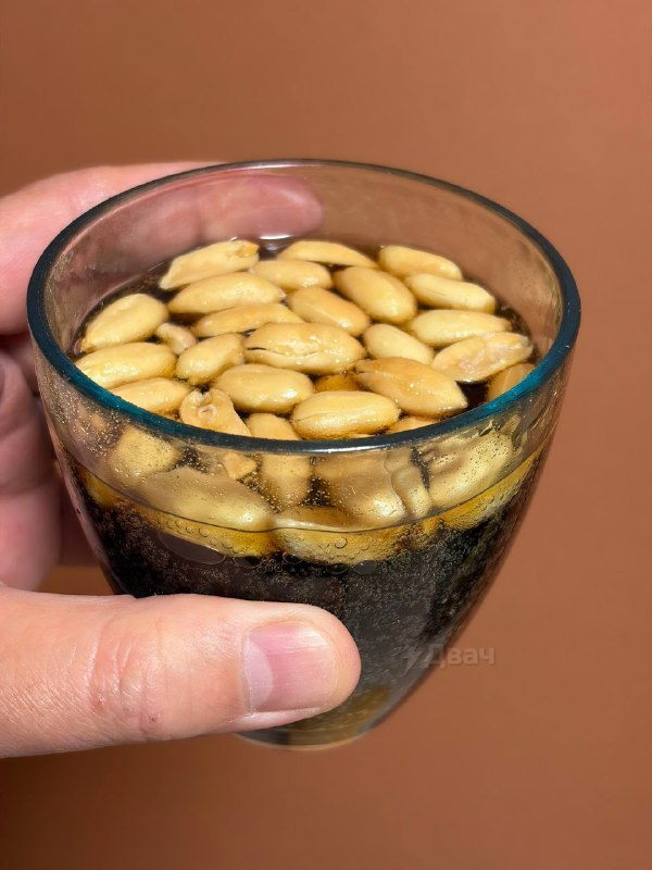 В японском интернете все начали массово пить колу с солёным арахисом — орехи засыпают прямо в бутылк