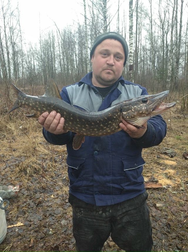 14 ноября скоропостижно ушел из жизни любящий сын, муж, ?...