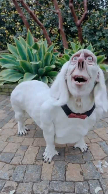 И ту все офигели с этого гендер-пати