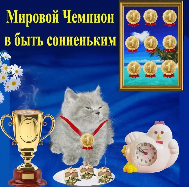 Это тебе