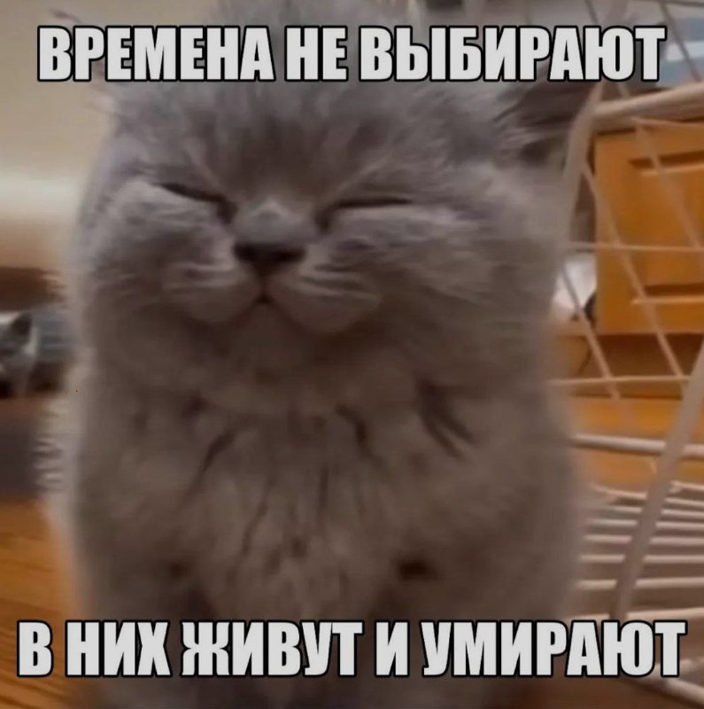 Ночная подборочка
Спать, режим