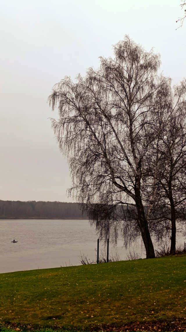 В пасмурной погоде свой кайф😊
Норское