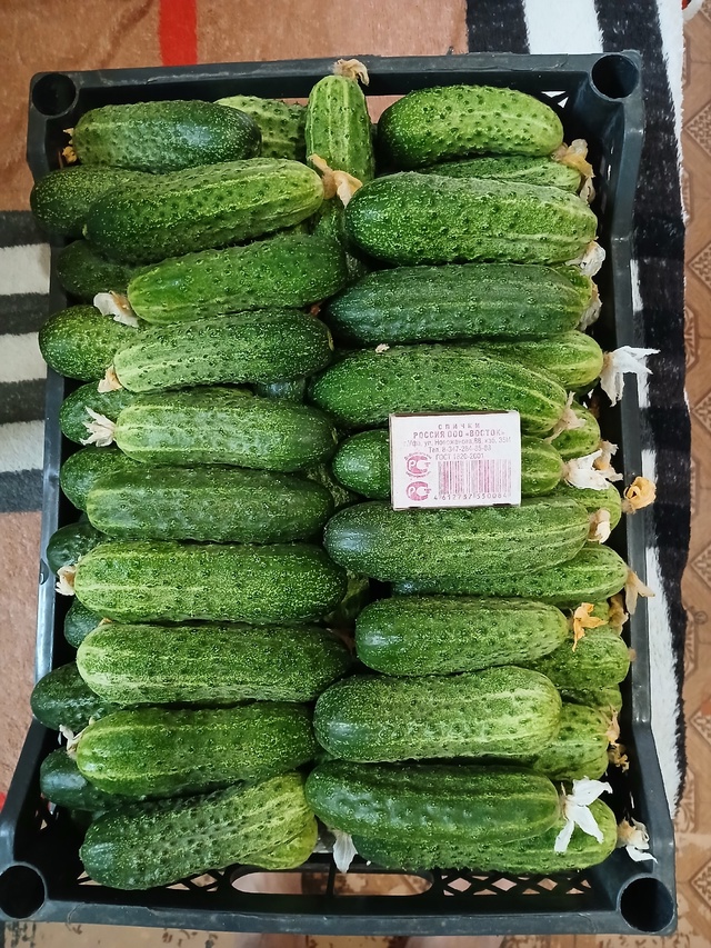 Продам домашние огурчики 50р/ кг ( 8 кг ) .
Продам домашние...