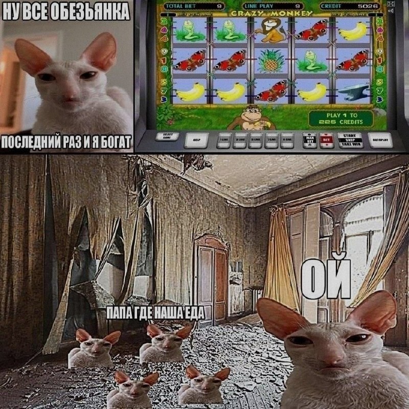 Ночная подборочка
Выходные, не спим