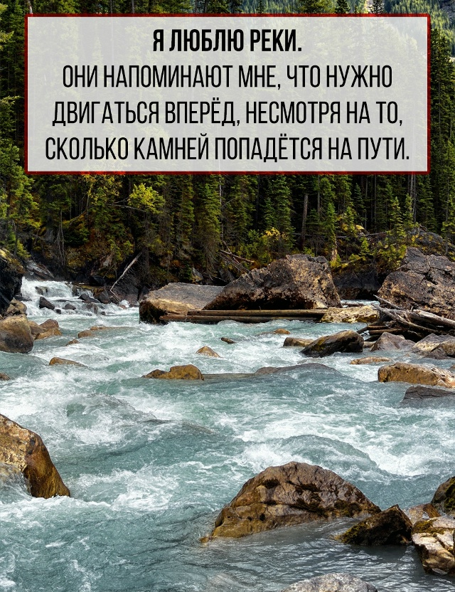 Мир вокруг говорит — стоит лишь научиться слышать.