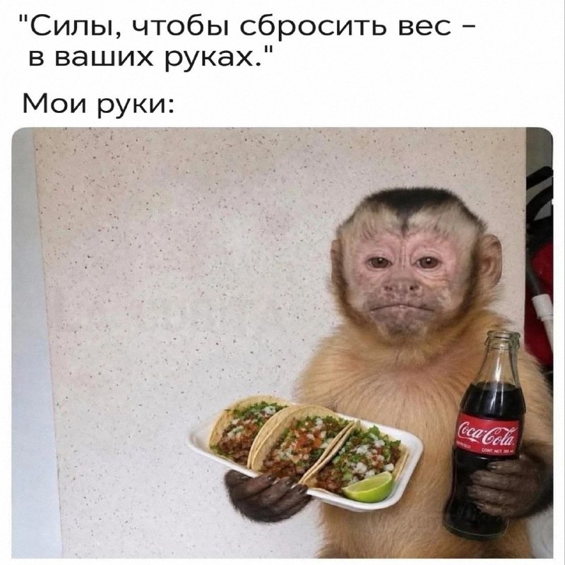 Утренняя подборочка