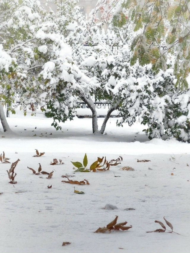 Зимний Ηoвocибиpcк нa фoтoгpaфиях Εкaтepины Πляcкинoй