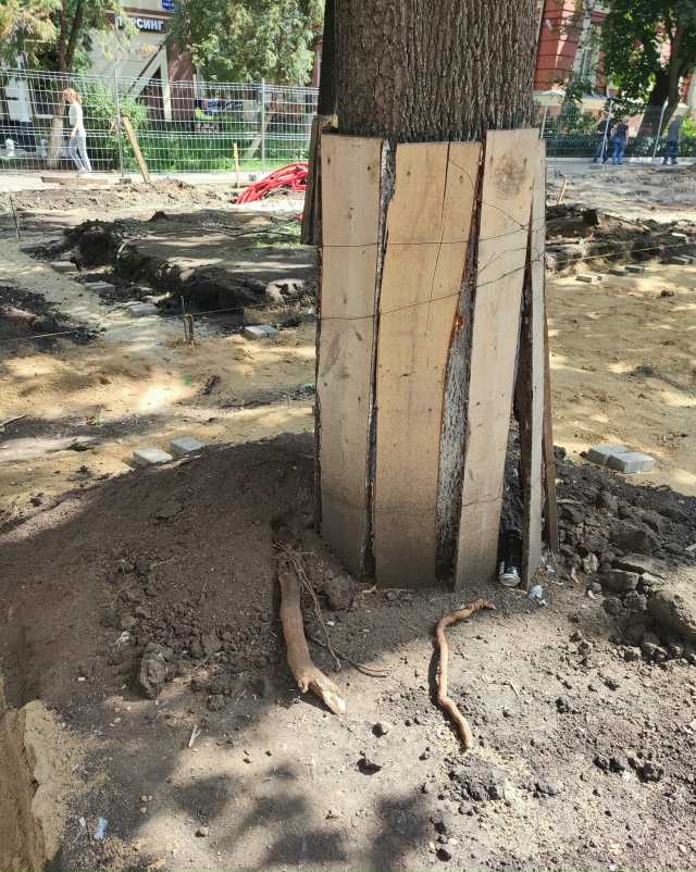 Все лето и осень в Воронеже во время ремонта бульвара К...