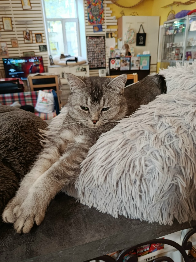 Не буду говорить, где, чтобы не было рекламы, я сегодня ?...