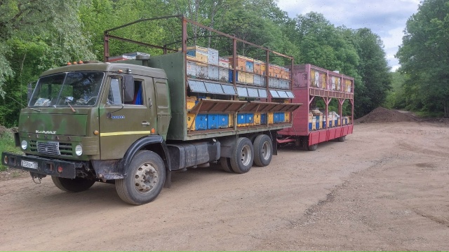 Всем здраствуйте дорогие жители города Питкяранта! 🐝 ...