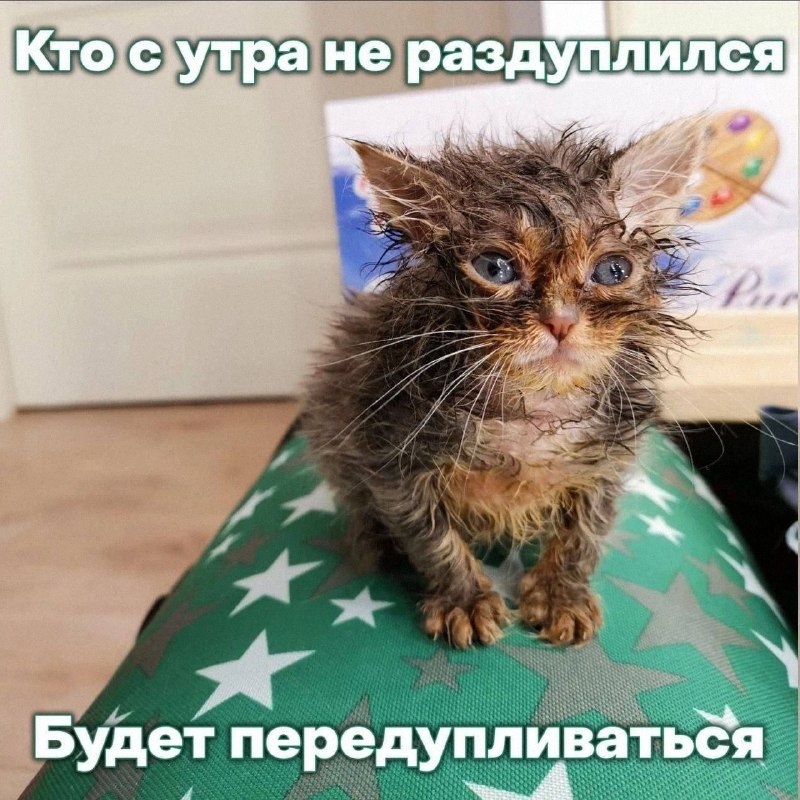Утренняя подборочка