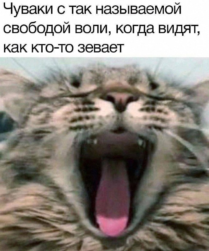 Утренняя подборочка