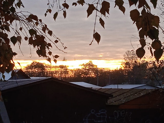 Доброе утро 🍁🍂Пусть у всех сегодня всё будет хорошо ?...