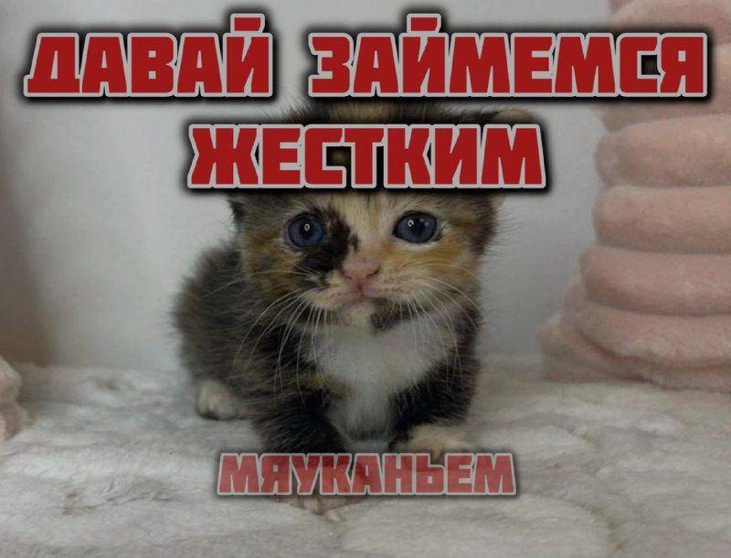 Ночная подборочка
Спать, режим