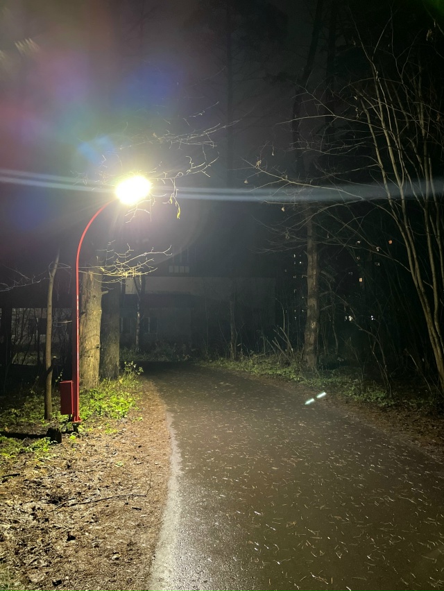 В России впервые завели дело за поиск в интернете мате?...