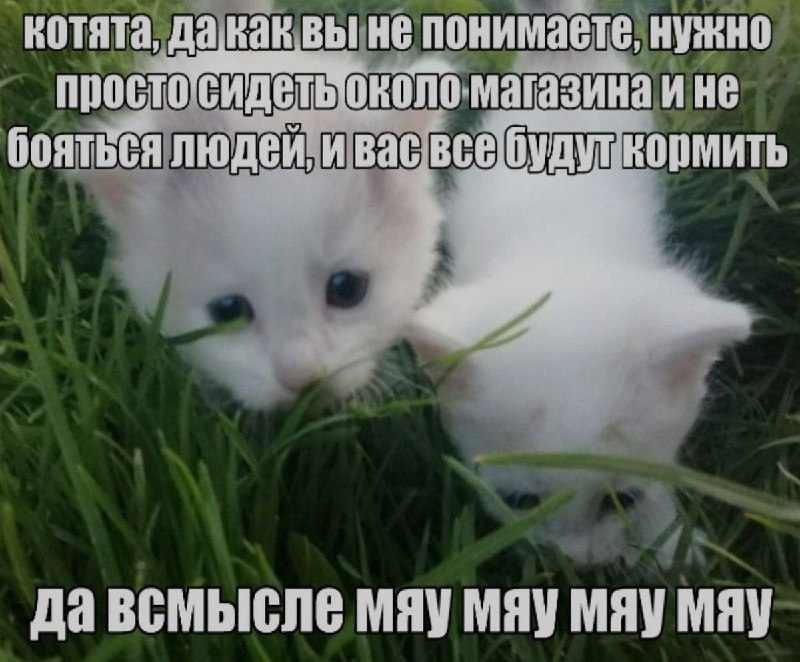 Ночная подборочка
Спать, режим