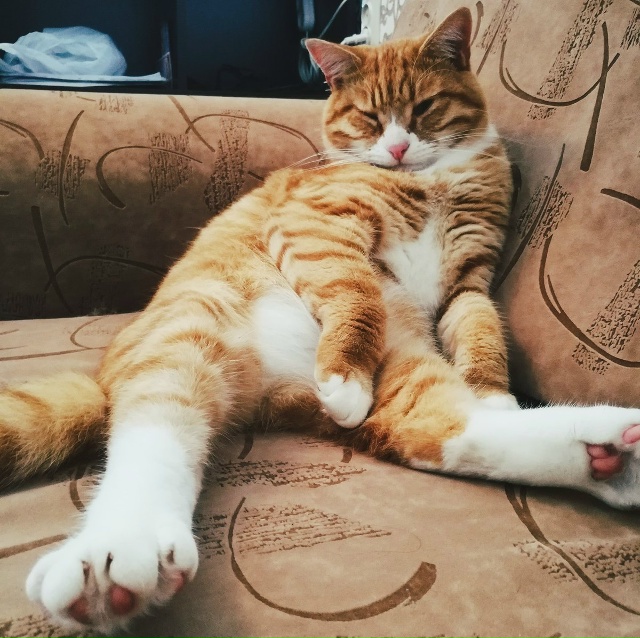 С ленью бороться можно, но …
Лень.???