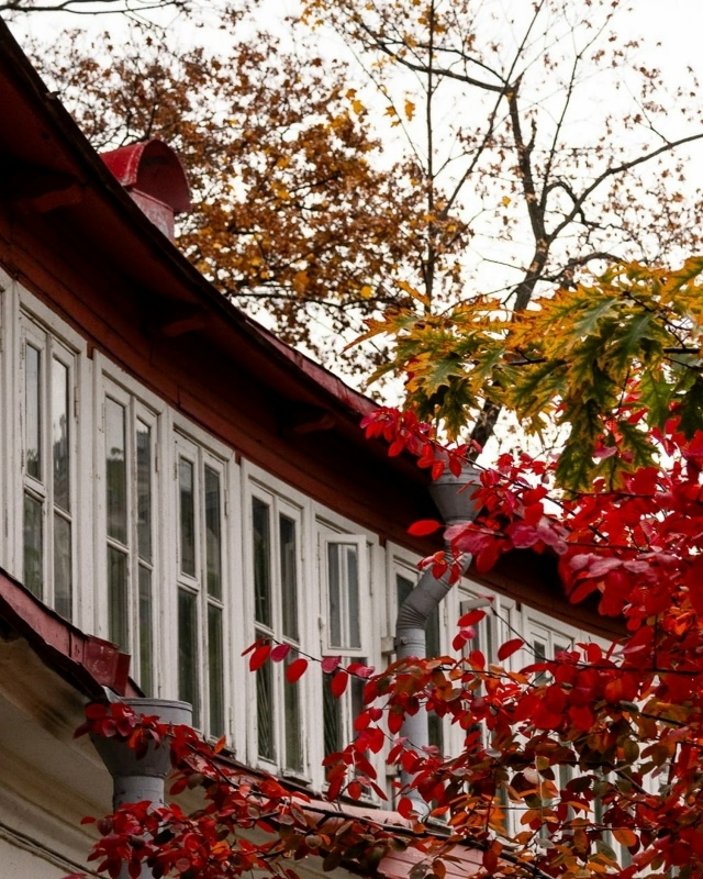 Осенняя Пречистенка 🍁.
Фото: tanushka_mar