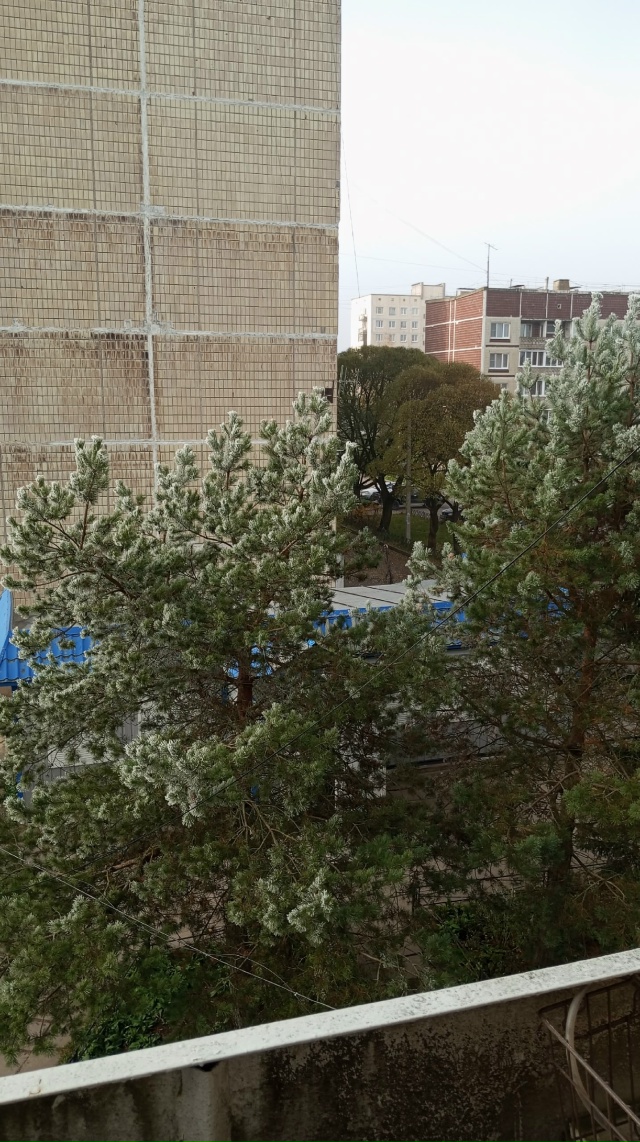 После тумана, который длился два дня, такая красота❤❤?...