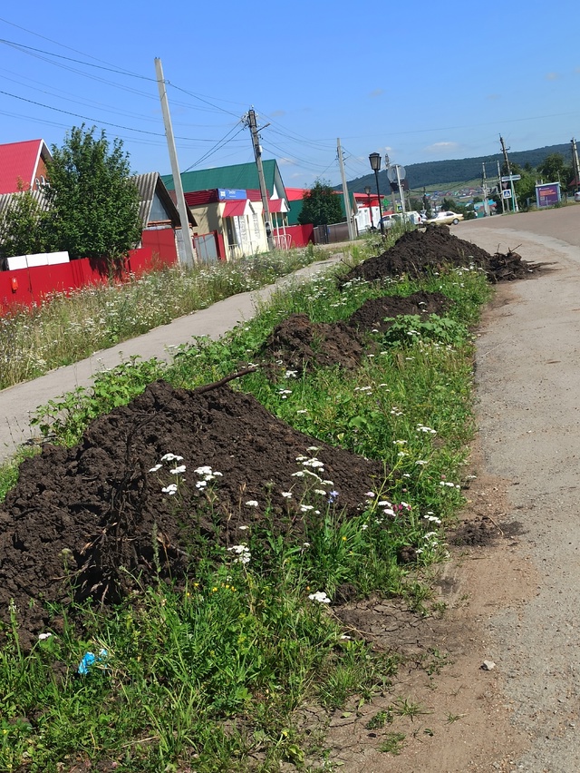 Добрый день.Обращаюсь к компетентным органам,кто отве?...